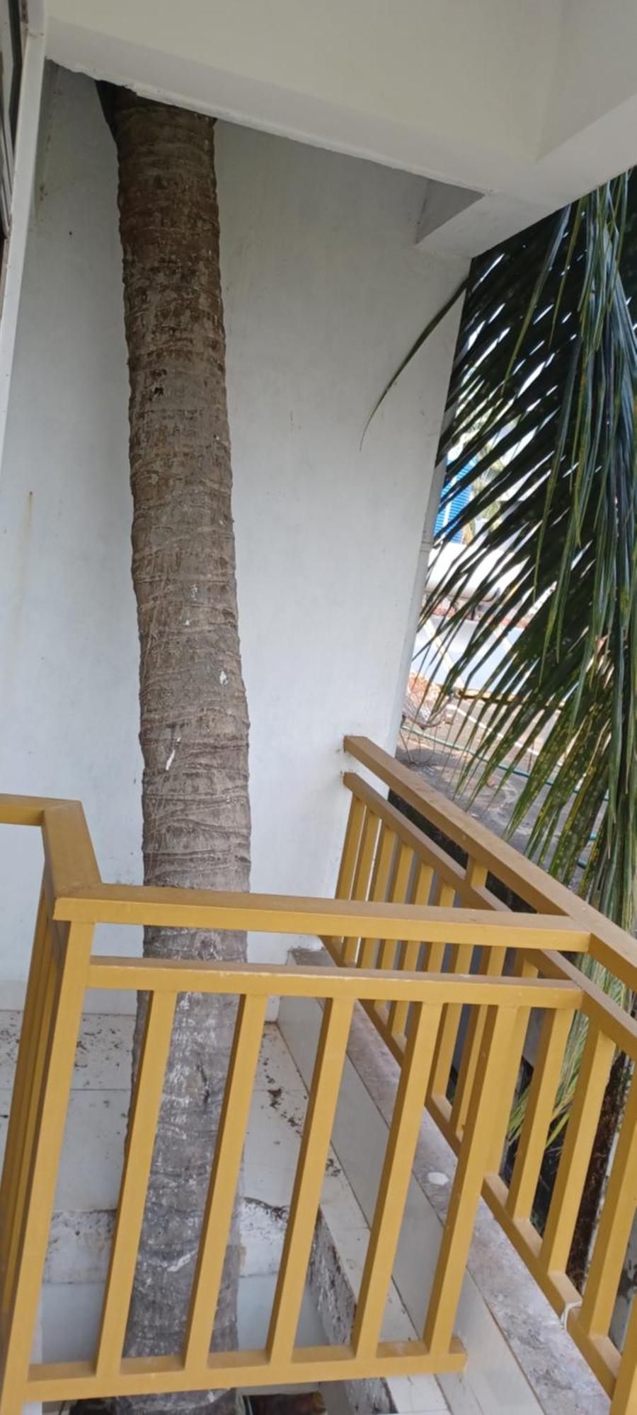 Prakash Holiday Inn Arambol Buitenkant foto